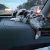 itsleelee00